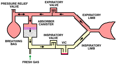 Circle Absorber Function